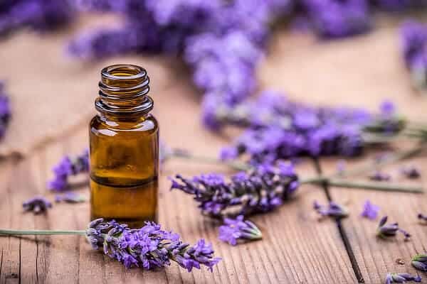 levender essential oil bottle with levender flowers in the background