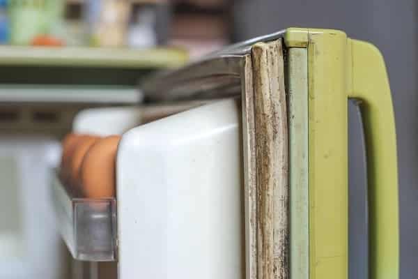 Rubber door edge of the old green refrigerator with mold growth