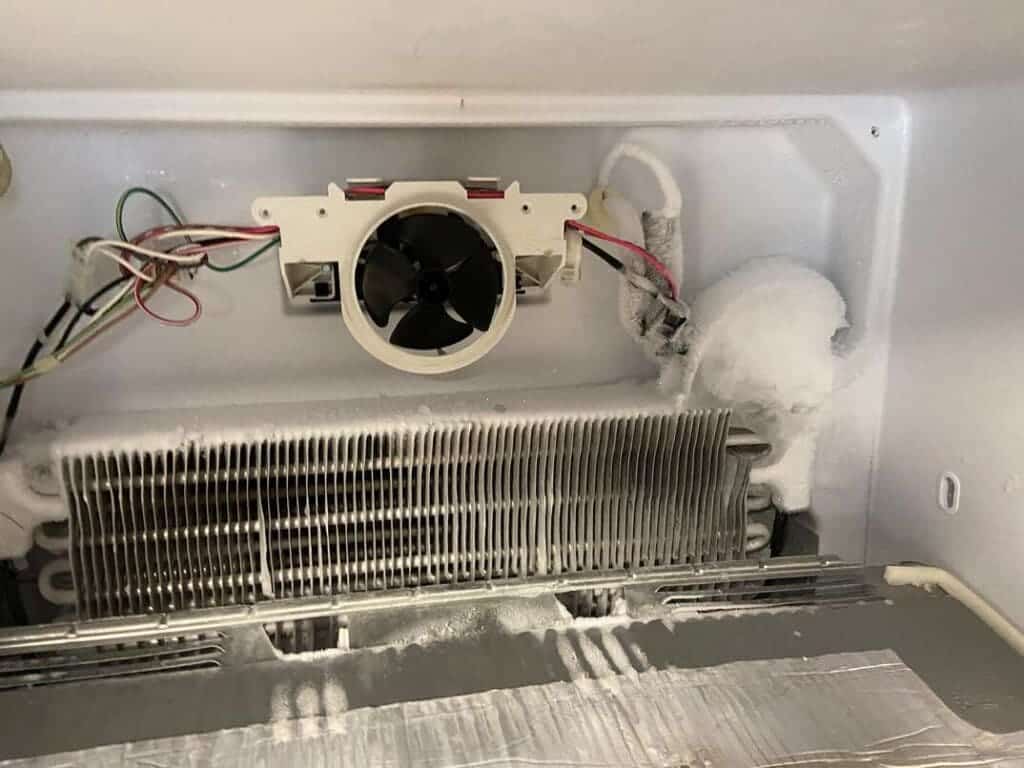 inside of refrigerator showing evaporator fan