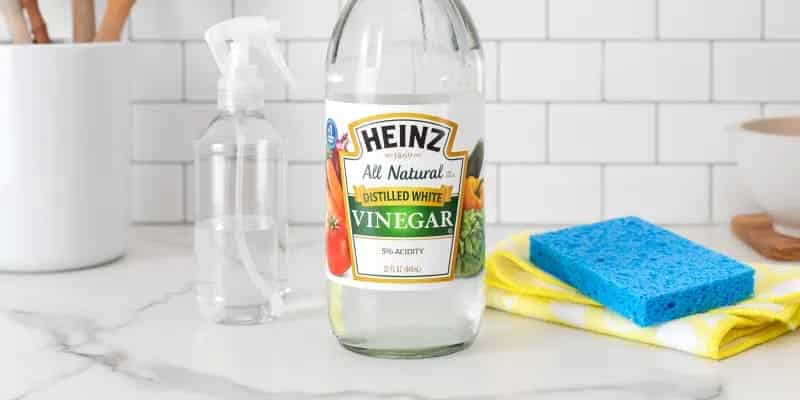 vinegar water solution with a spray bottle and sponge