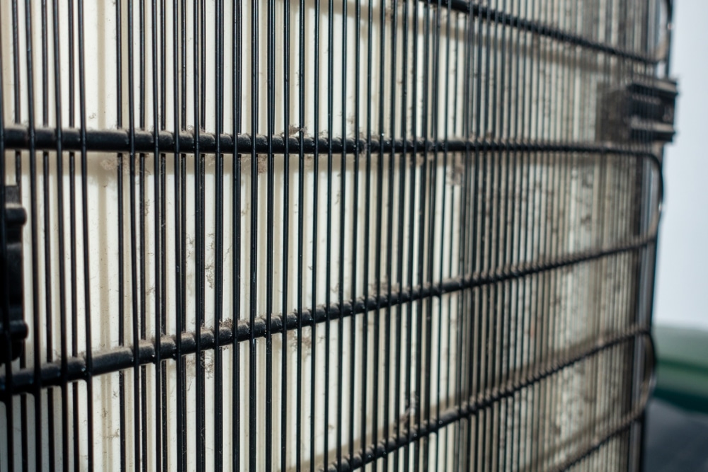 A close view of Condensor coils of a fridge