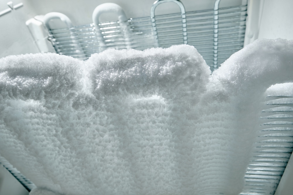 A view of a frozen freezer inside