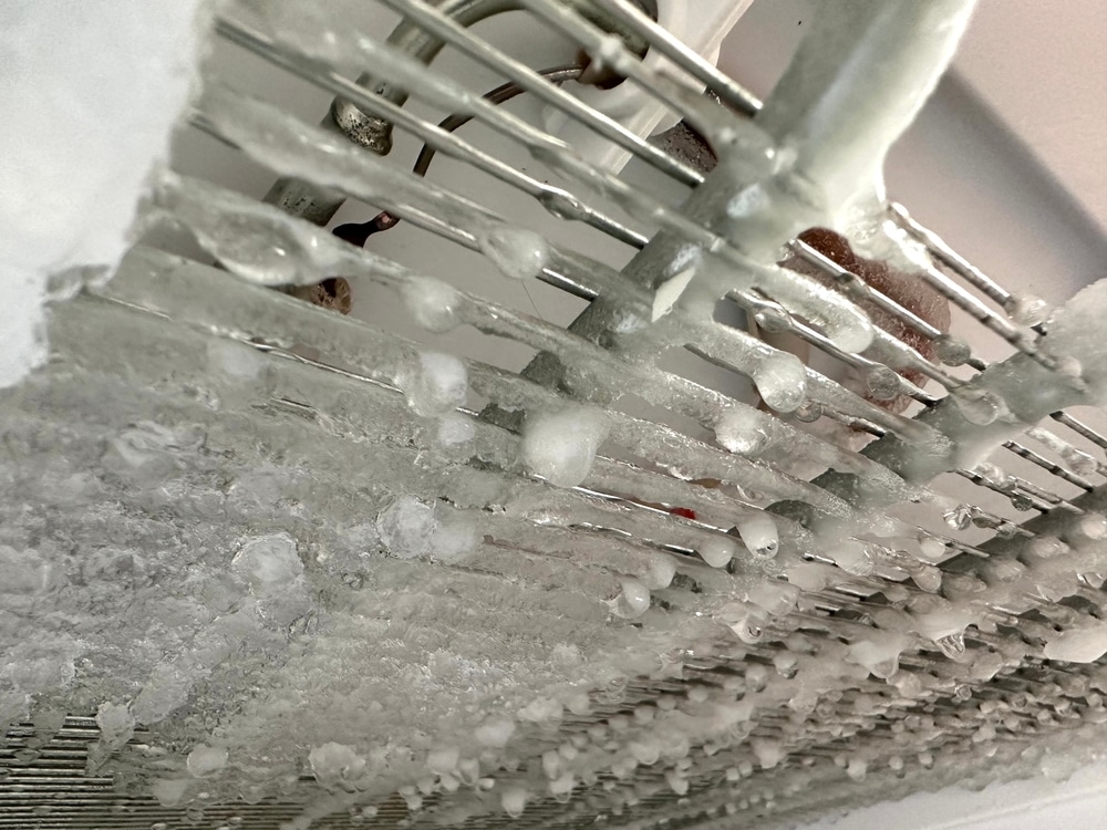 A view of the the freezer shelves frosted