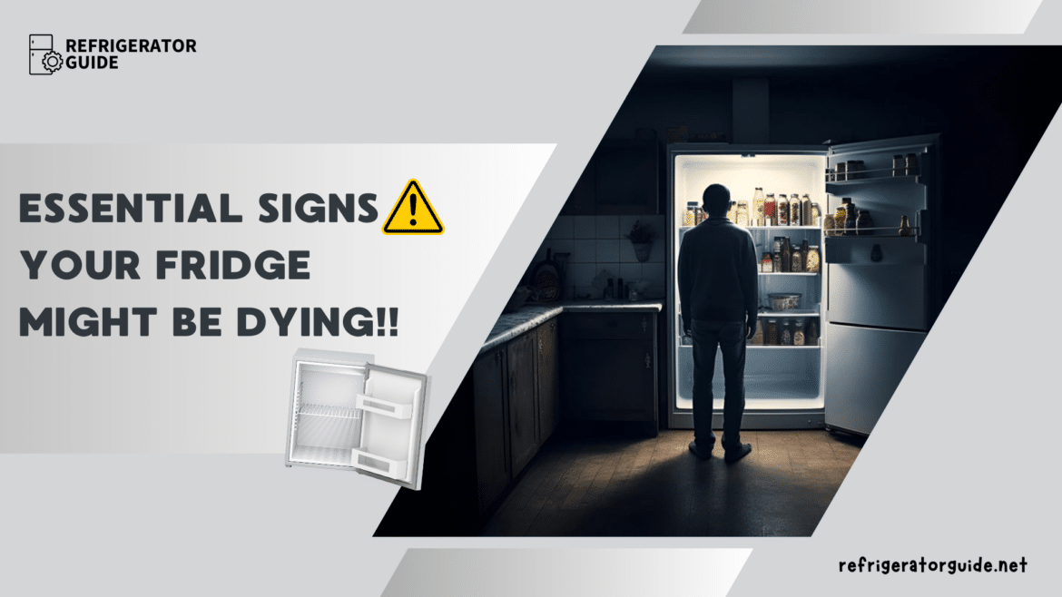 Essential signs your fridge might be dying ( ) Essential signs your fridge might be dying ( )