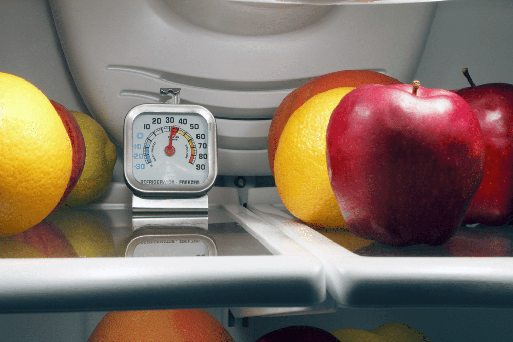 Refrigerator thermometer inside the top shelf of a cool food storage fridge